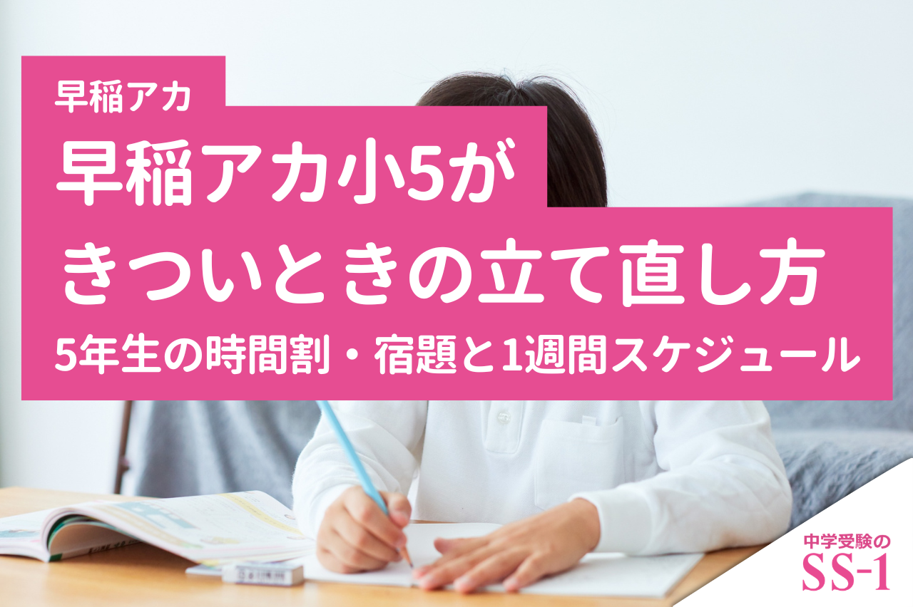 早稲アカ小5がきついときの立て直し方|5年生の時間割・宿題と1週間スケジュール