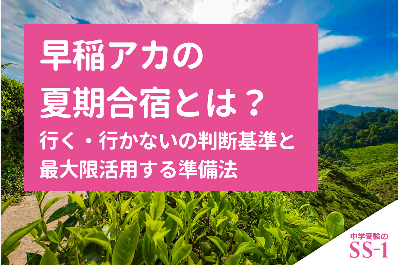早稲アカの夏期合宿とは？行く・行かないの判断基準と最大限活用する準備法